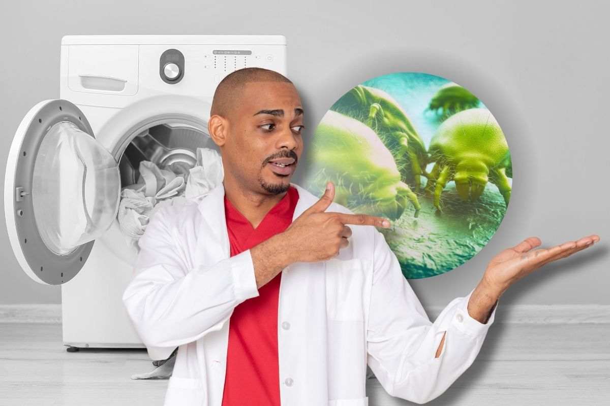 uccidere acari batteri lavatrice non servono alte temperature