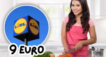 Tutti dovrebbero averlo in cucina: LIDL l’ha messo in vendita a 9 euro, sta proprio cambiando le mie giornate