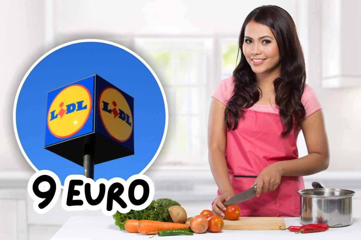 prodotto in offerta da lidl a 9 euro