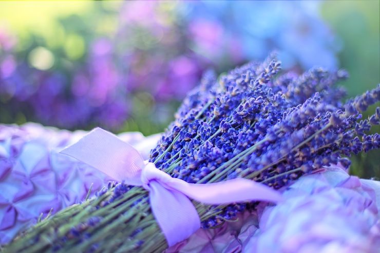 rimedio naturale lavanda