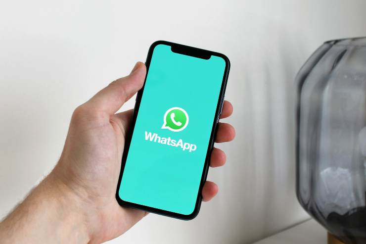 whatsapp funzione messaggi